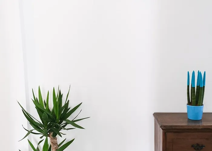 Il Centrale Специя